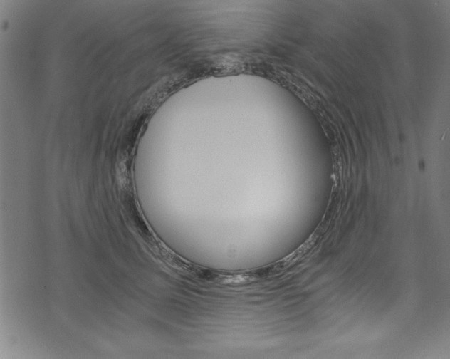 X0000073980611200608211010