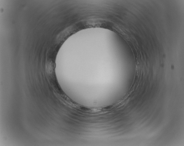 X0000073980623200608211010