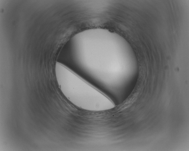 X0000073980624200608211010