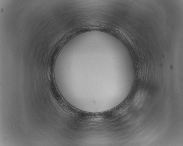 X0000073980643200608211009