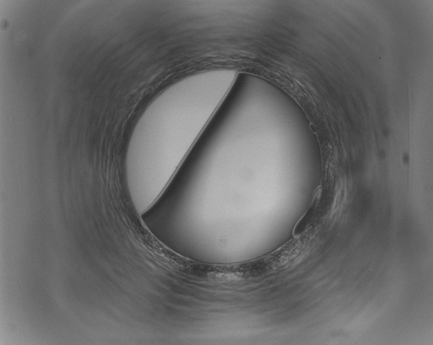 X0000073980649200608211009