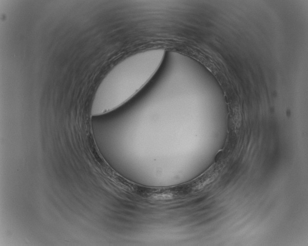 X0000073980653200608211009