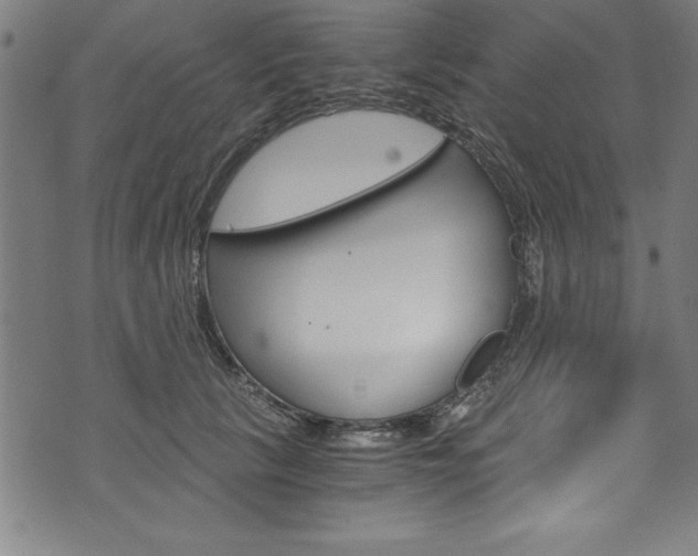 X0000073980657200608211009