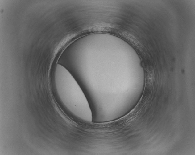 X0000073980678200608211009
