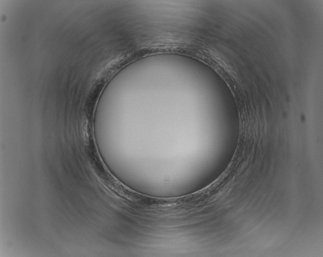 X0000073980692200608211009