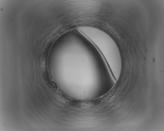 X0000073980697200608211009