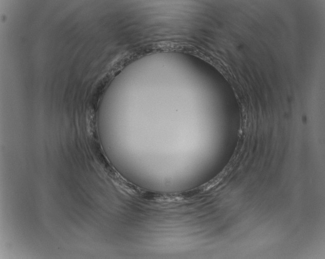 X0000073980712200608211008