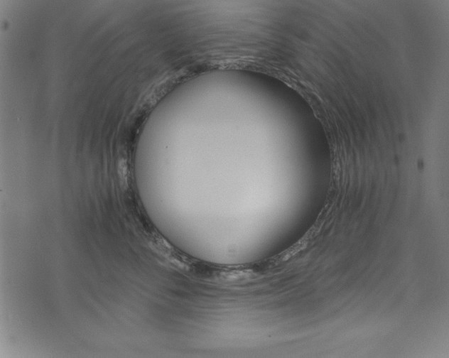 X0000073980716200608211008