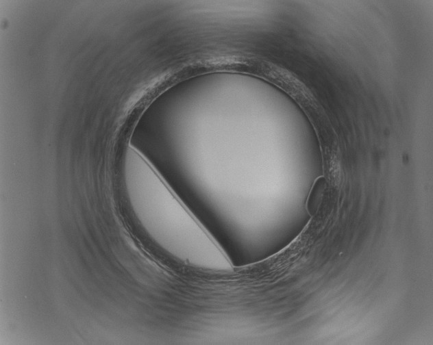 X0000073980732200608211008