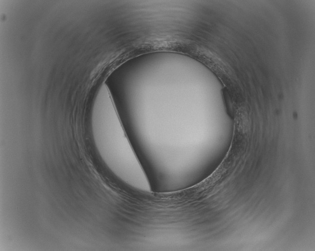 X0000073980740200608211008