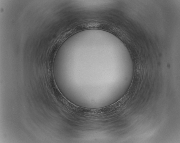 X0000073980743200608211008