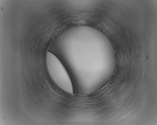 X0000073980747200608211008