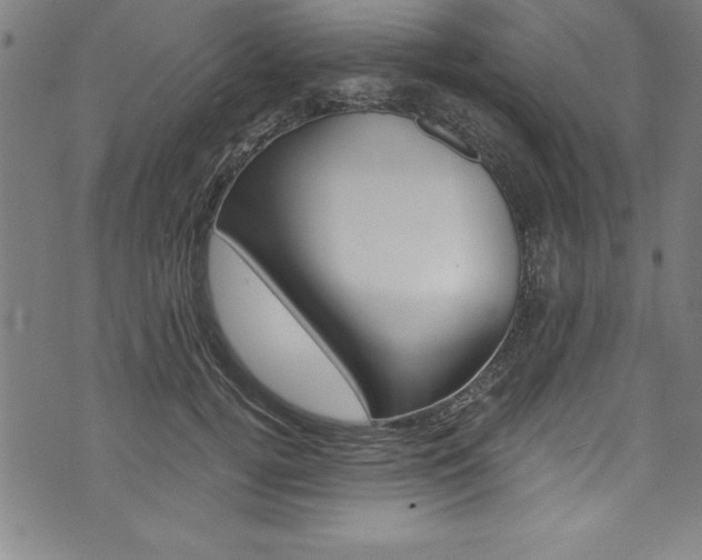 X0000073980752200608211008