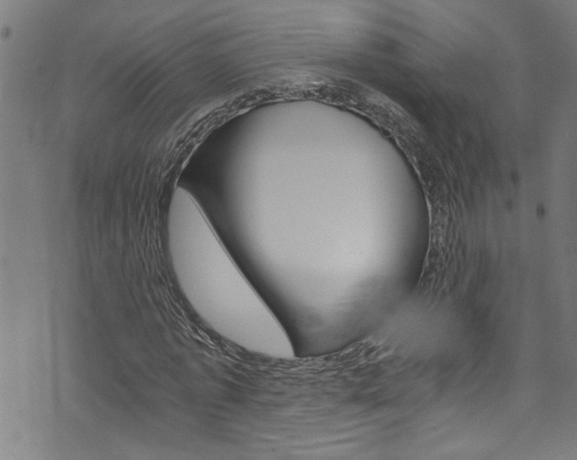 X0000073980773200608211007