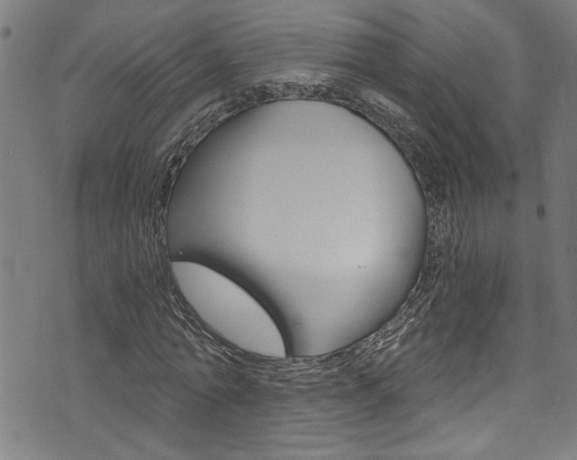 X0000073980774200608211007