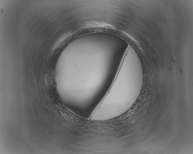 X0000073980775200608211007