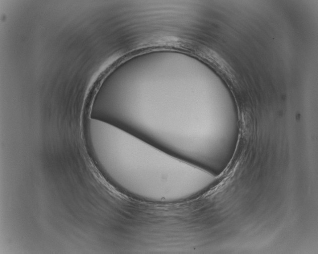 X0000073980780200608211007