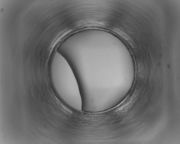 X0000073980782200608211007
