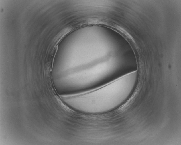 X0000073980801200608211007