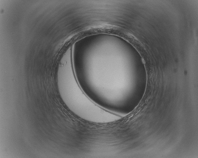 X0000073980822200608211006