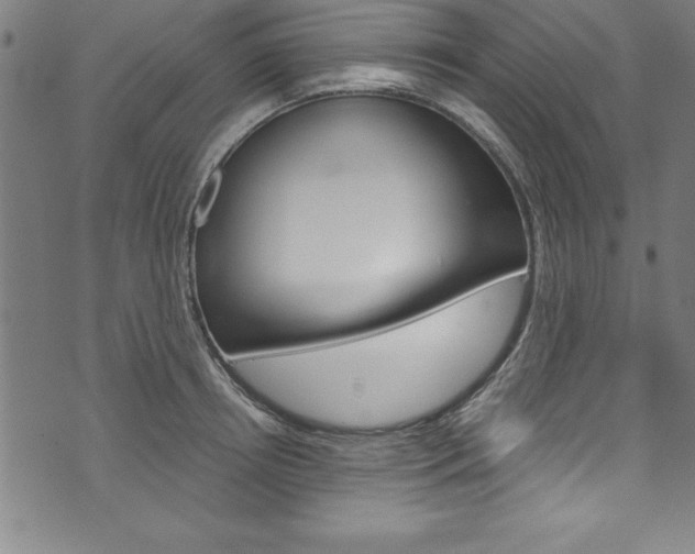 X0000073980850200608211006