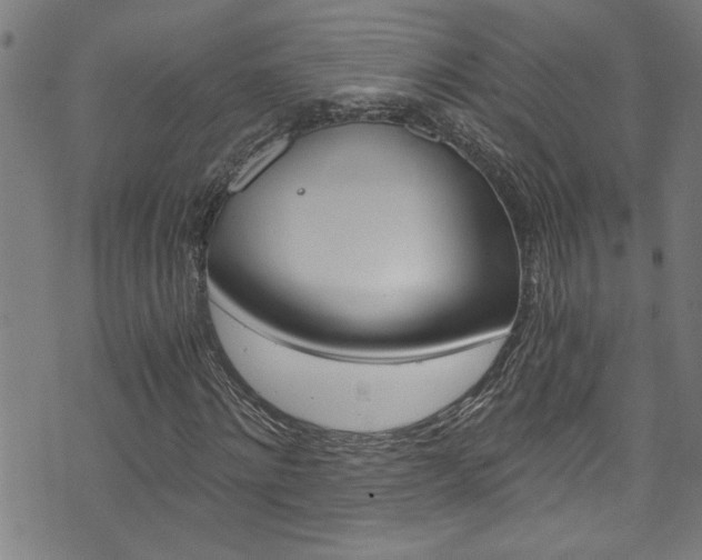 X0000073980868200608211006