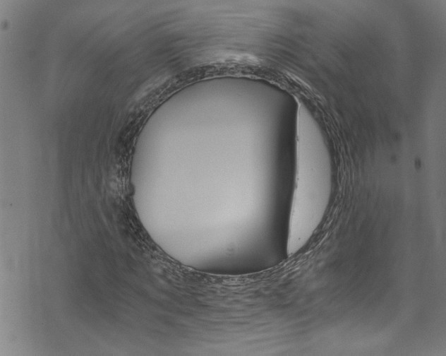 X0000073980869200608211006