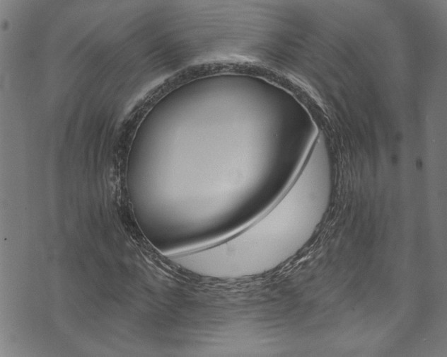 X0000073980872200608211006