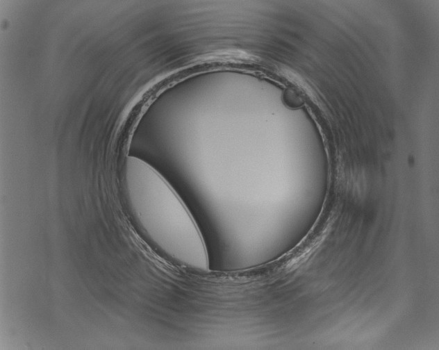 X0000073980923200608211004