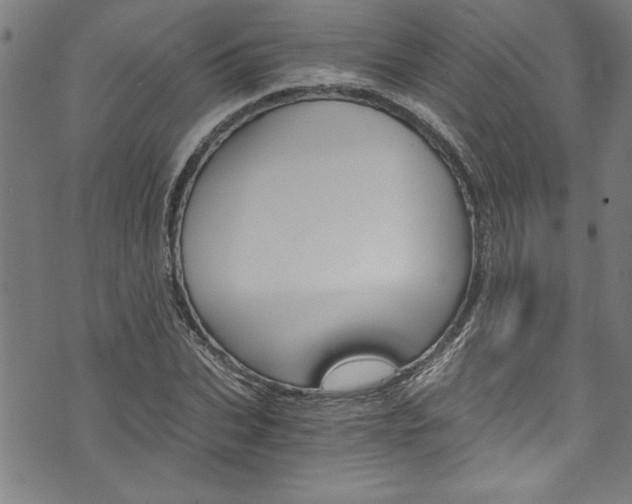 X0000073980927200608211004
