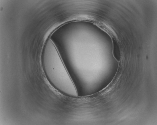X0000073980944200608211005