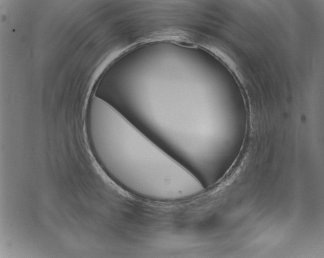 X0000073980949200608211005