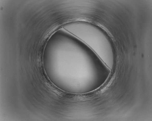 X0000073980977200608211004