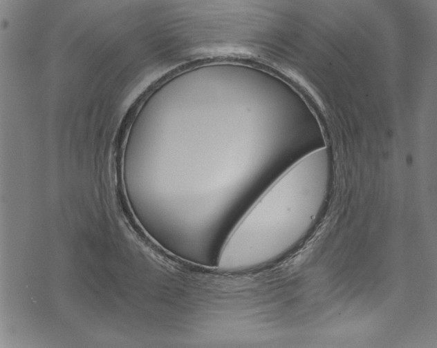 X0000073980983200608211004