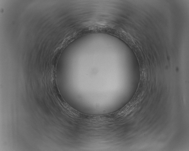 X0000073981012200608211003