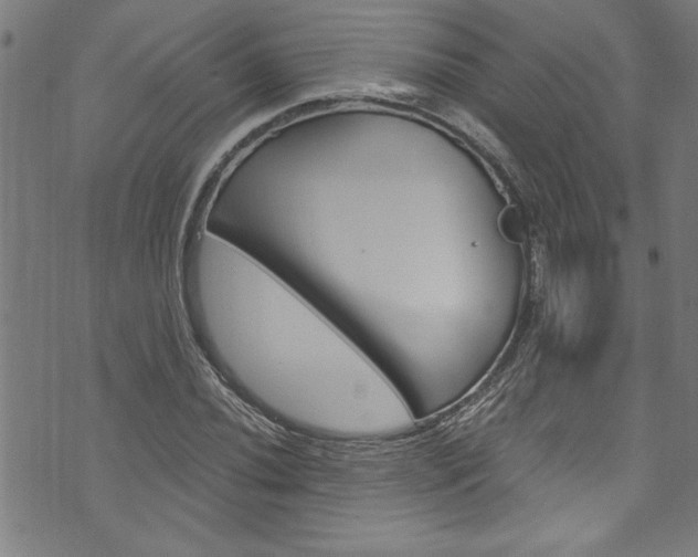 X0000073981020200608211003