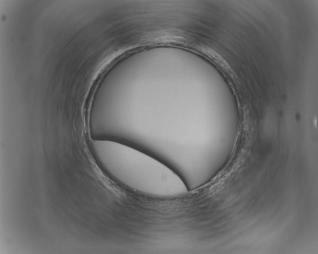 X0000073981031200608211003