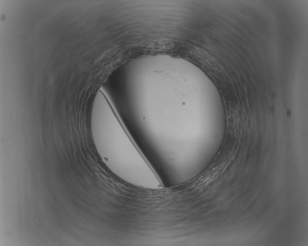 X0000073981058200608211003