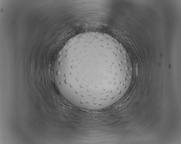 X0000073981059200608211003