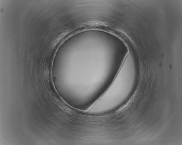 X0000073981065200608211003