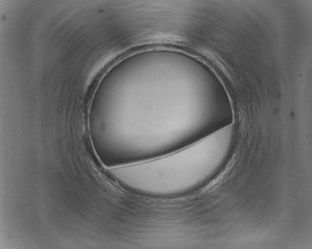 X0000073981069200608211002