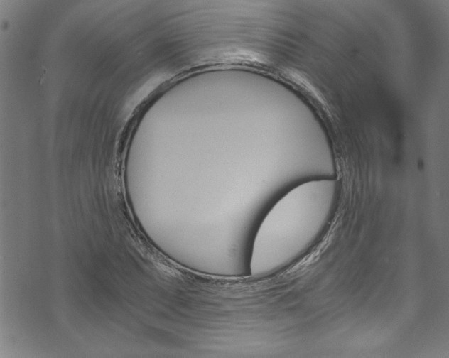 X0000073981071200608211002