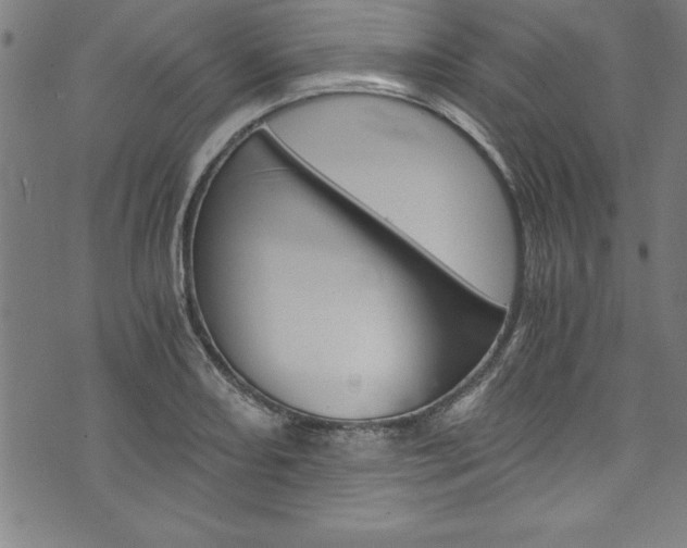 X0000073981082200608211002
