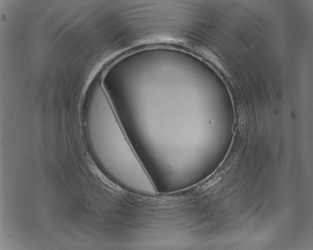 X0000073981116200608211001