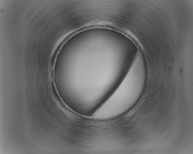 X0000073981124200608211001