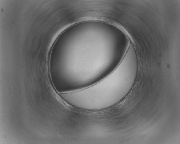 X0000073981148200608211002