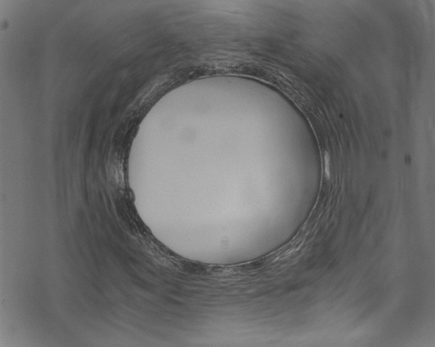 X0000073981155200608211001