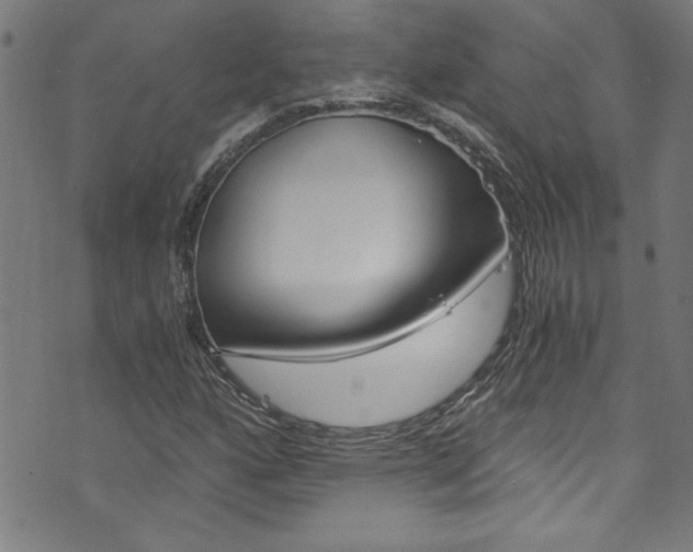 X0000073981160200608211001