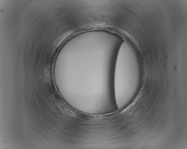 X0000073981162200608211001