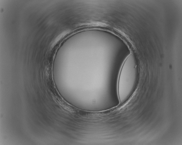 X0000073981163200608211001